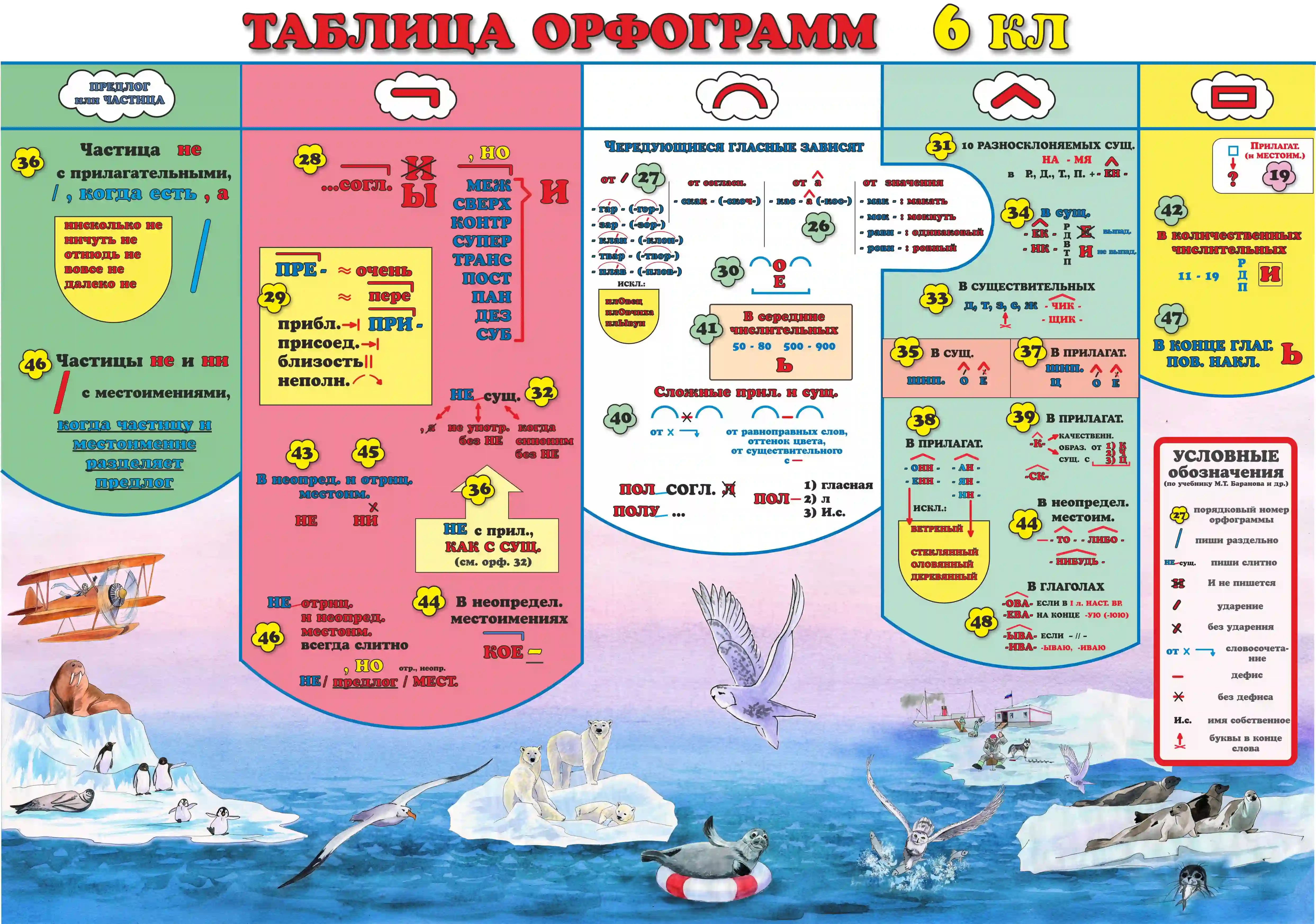 Плакат 6 класса